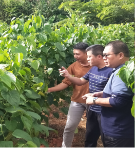 111 学史创新行万里：我院主办的2021云南省技术经纪人培训班（普洱专场第二期）圆满完成1072.png